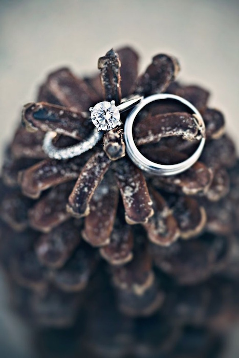 http-::www.onewed.com:blog:show:looking-back-timeless-wedding-inspiration-we-love