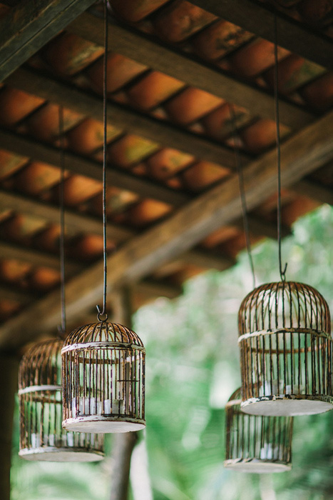 hanging bird cages