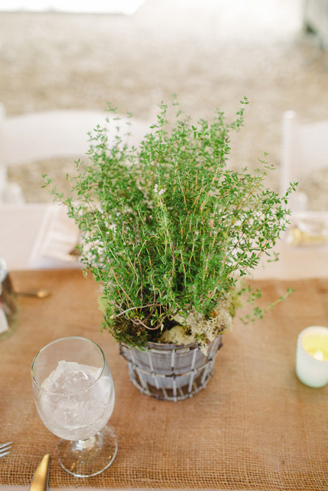 wedding plant centerpiece