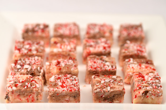 peppermint-fudge-10