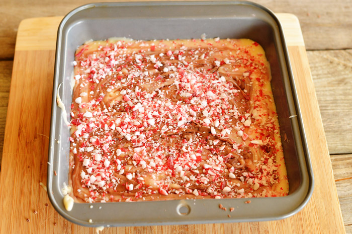 peppermint-fudge-6