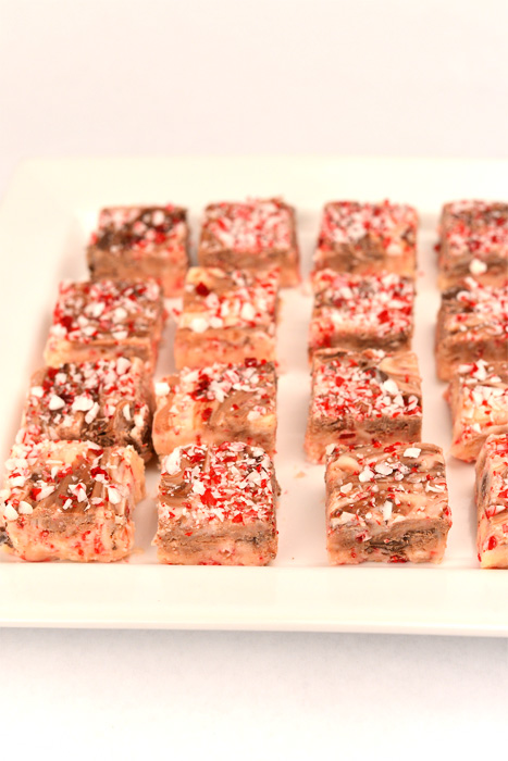 peppermint-fudge-8