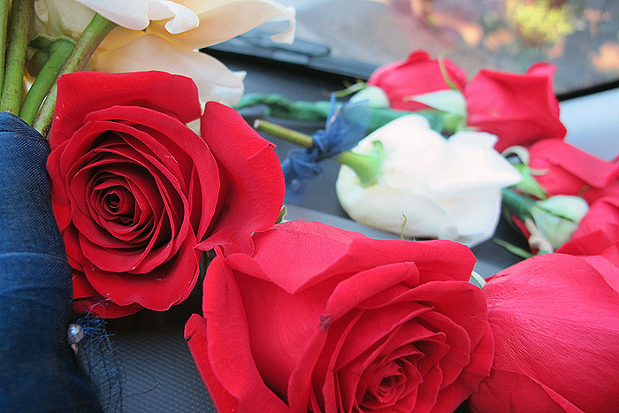 red rose flower crown