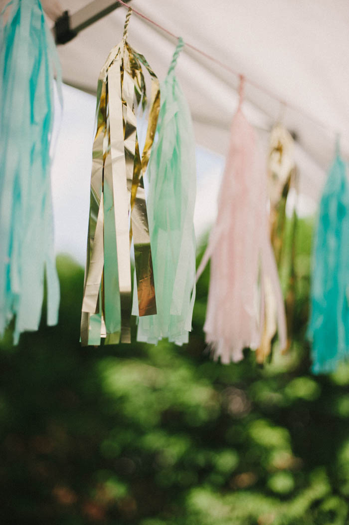 paper tassel garland