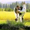 Mountain-Springs-Lodge-Plain-WA-bride-and-groom thumbnail