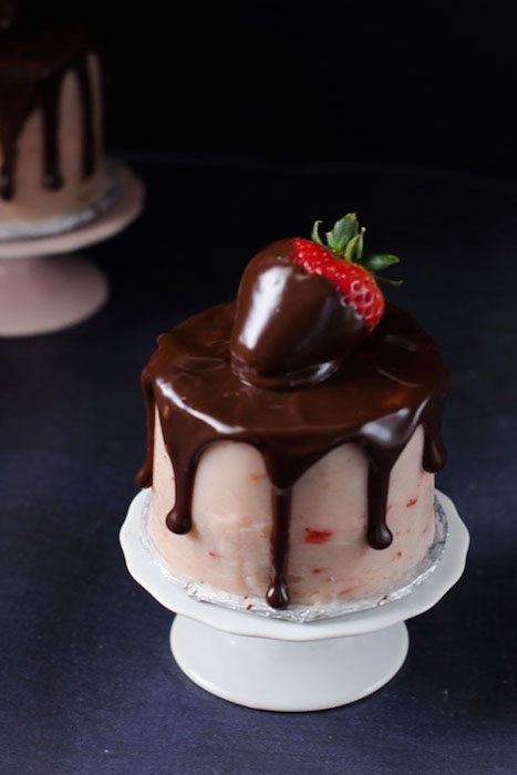 http-::cakemerchant.com:2014:02:01:mini-chocolate-covered-strawberry-layer-cakes-two: