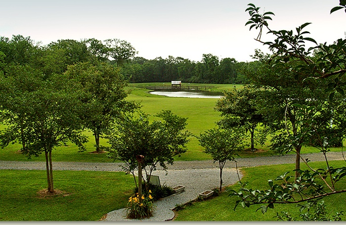 maison-dmemoire-grounds