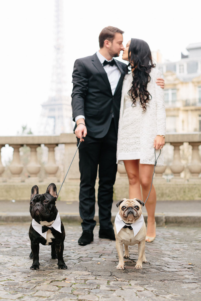 bride and groom with dogs