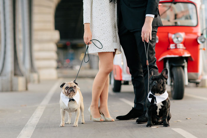 wedding dogs in Paris