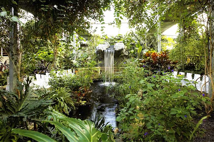 Cambridge-Butterfly-Conservatory-3-copy