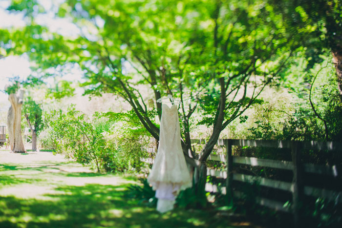 wedding dress hanging on a tree