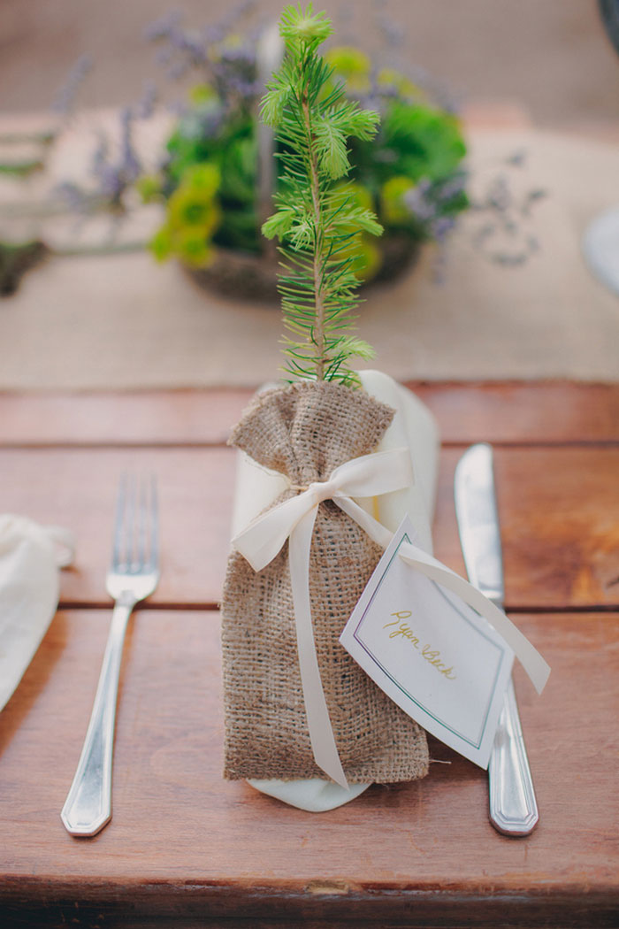 sapling wedding favor and placecard