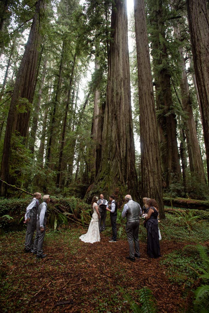 Redwoods State Park wedding ceremony