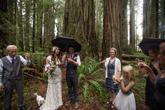 champagne toast in the woods