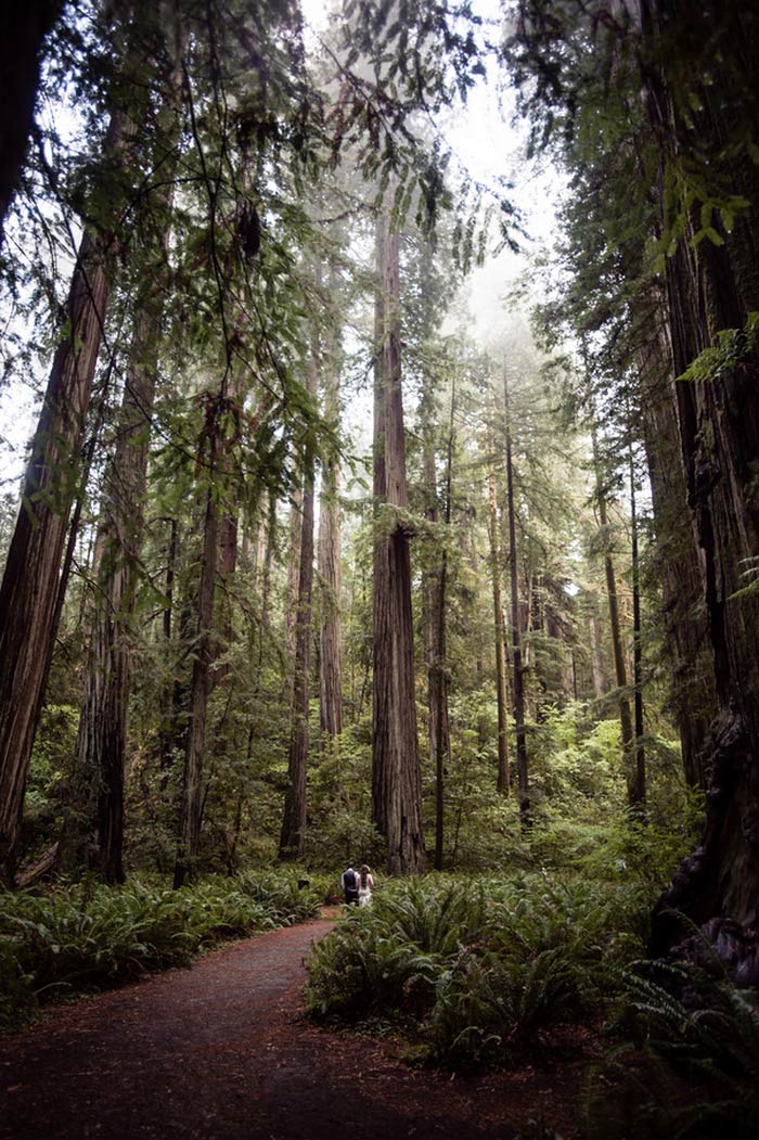 bride and groom in the forest