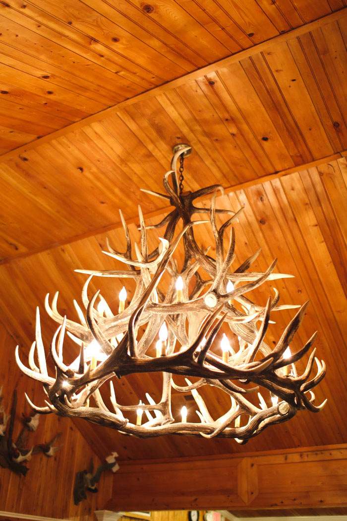 antler chandelier