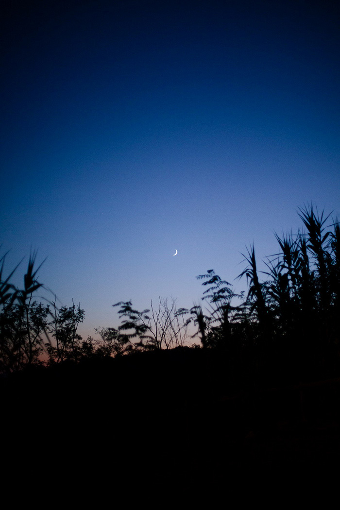 Tuscan night sky