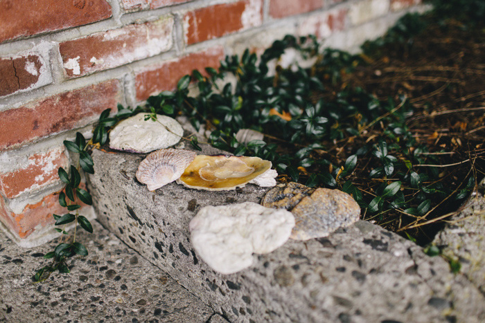 shells on front porch