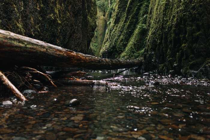 Oregon styled elopement