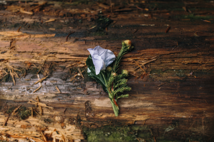 Oregon styled elopement