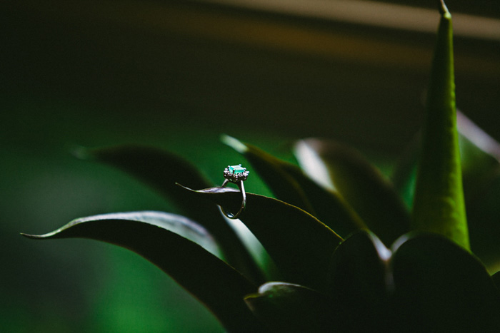 ring on plant