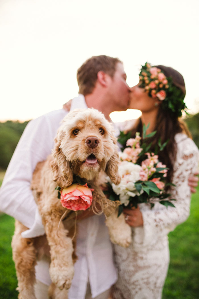 bride and groom with dog