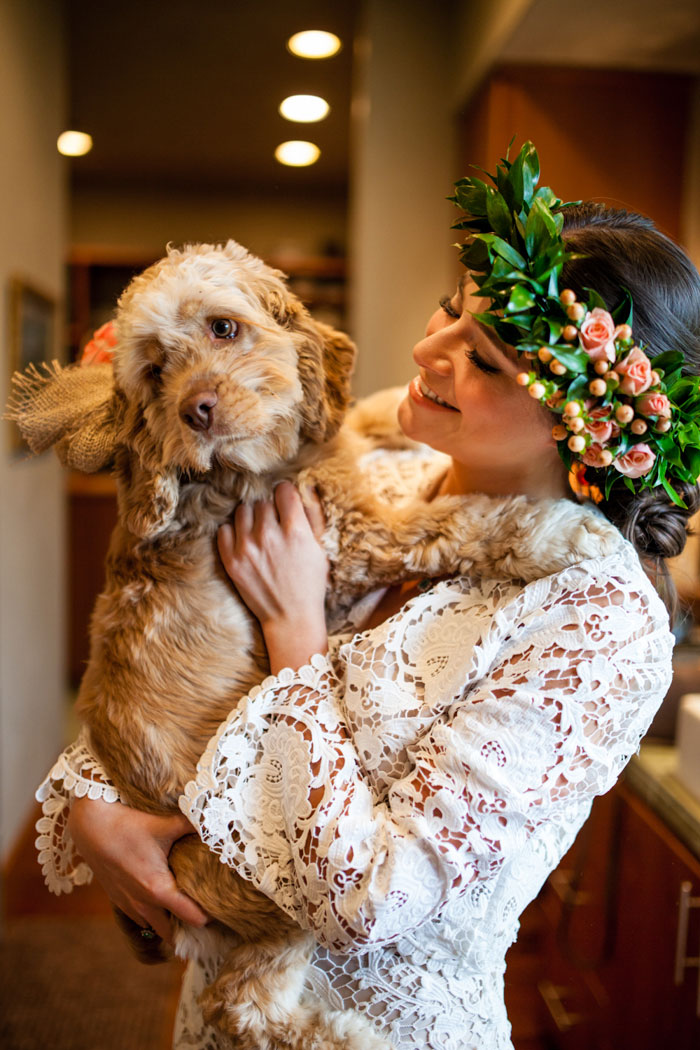 bride holding cocker spaniel