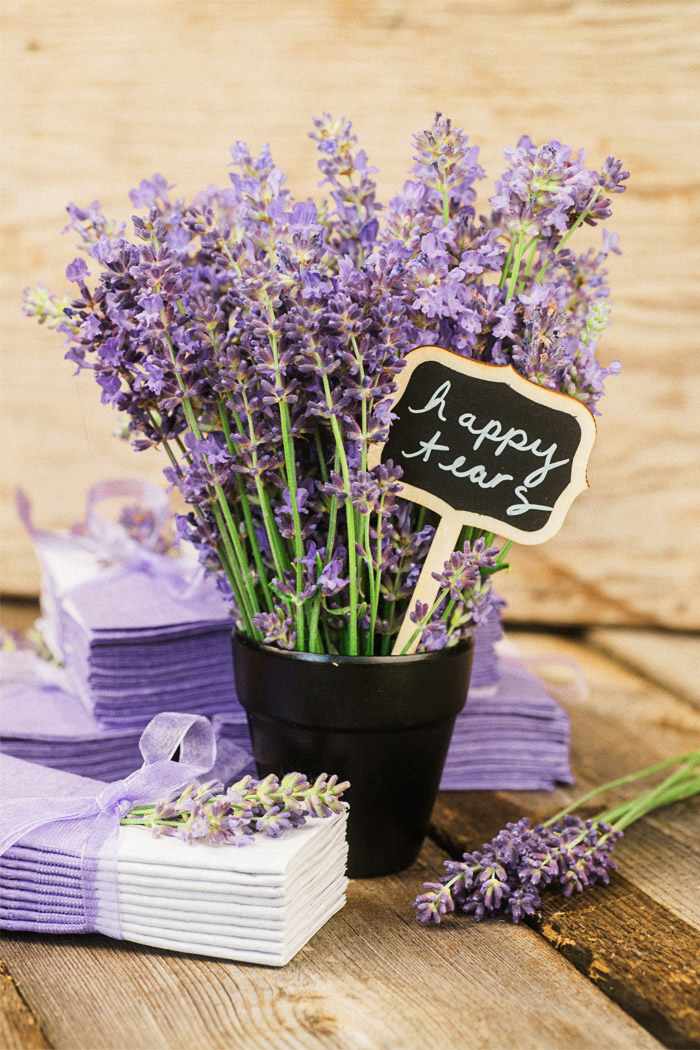 lavender wedding