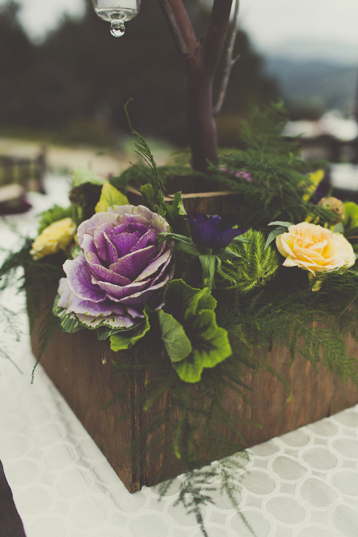 ornamental cabbage centerpiece