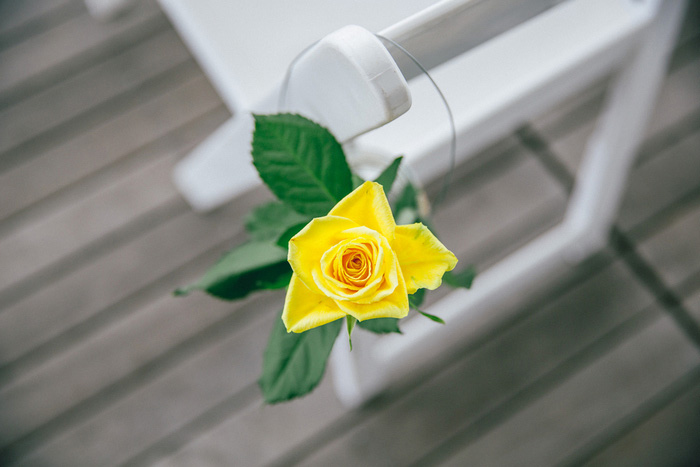 yellow rose on reception seating