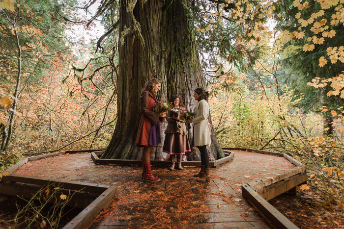 Mount Rainier elopement ceremony