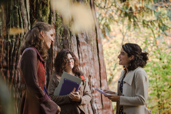 Mount Rainier elopement ceremony