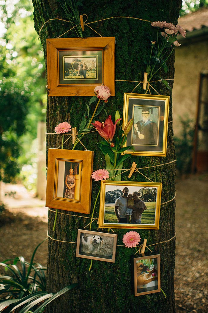 photos on tree