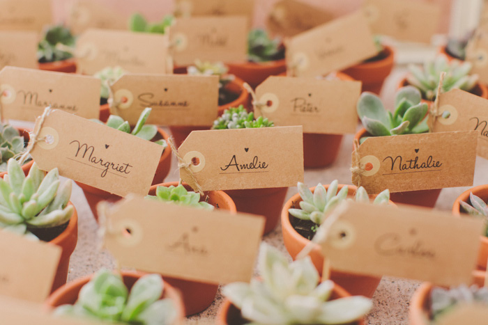 succulent escort cards