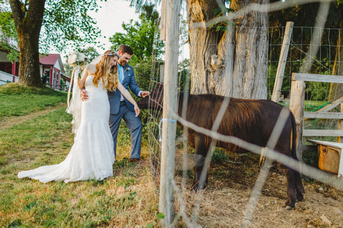 bride and groom feeding farm animals