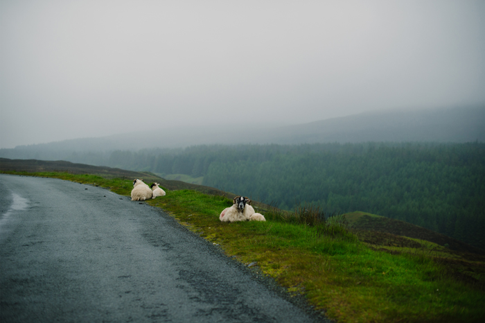 isle-of-skye-elopement-chelsea-gabriel-91