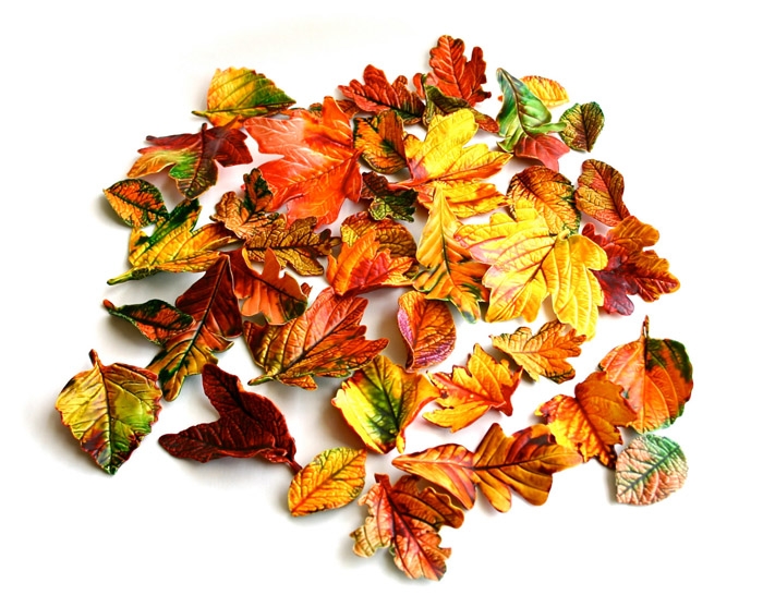 Edible-Fall-Leaves