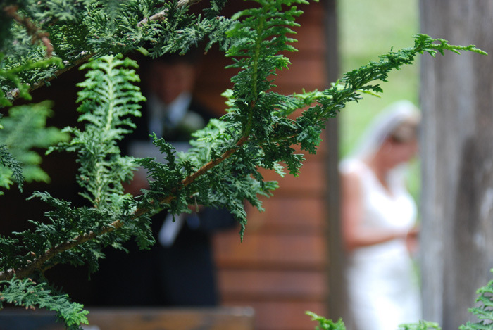 Tennessee-Intimate-Weddings-at-Butterfly-Hollow-6