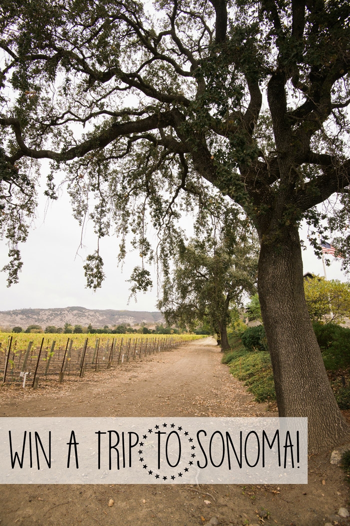 sonoma sweepstakes win