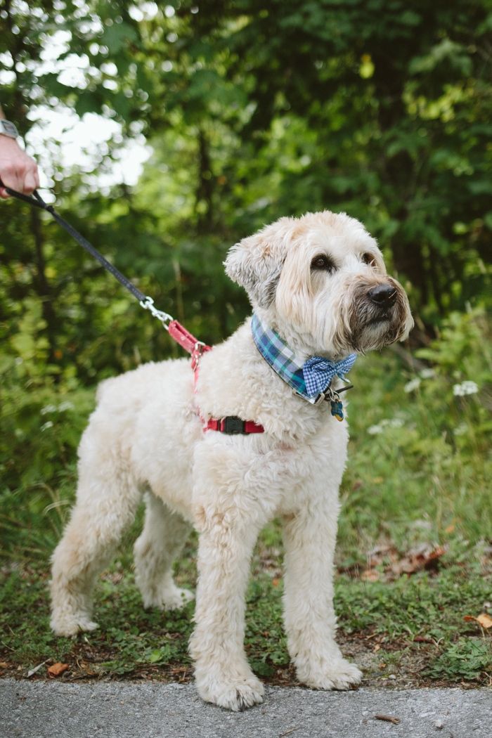 michigan rustic wedding