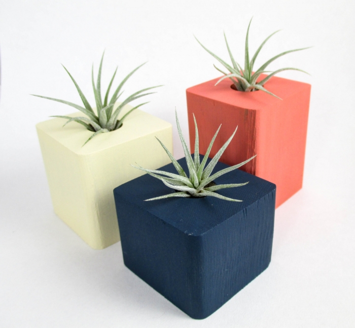 Geometric Plant Centerpieces