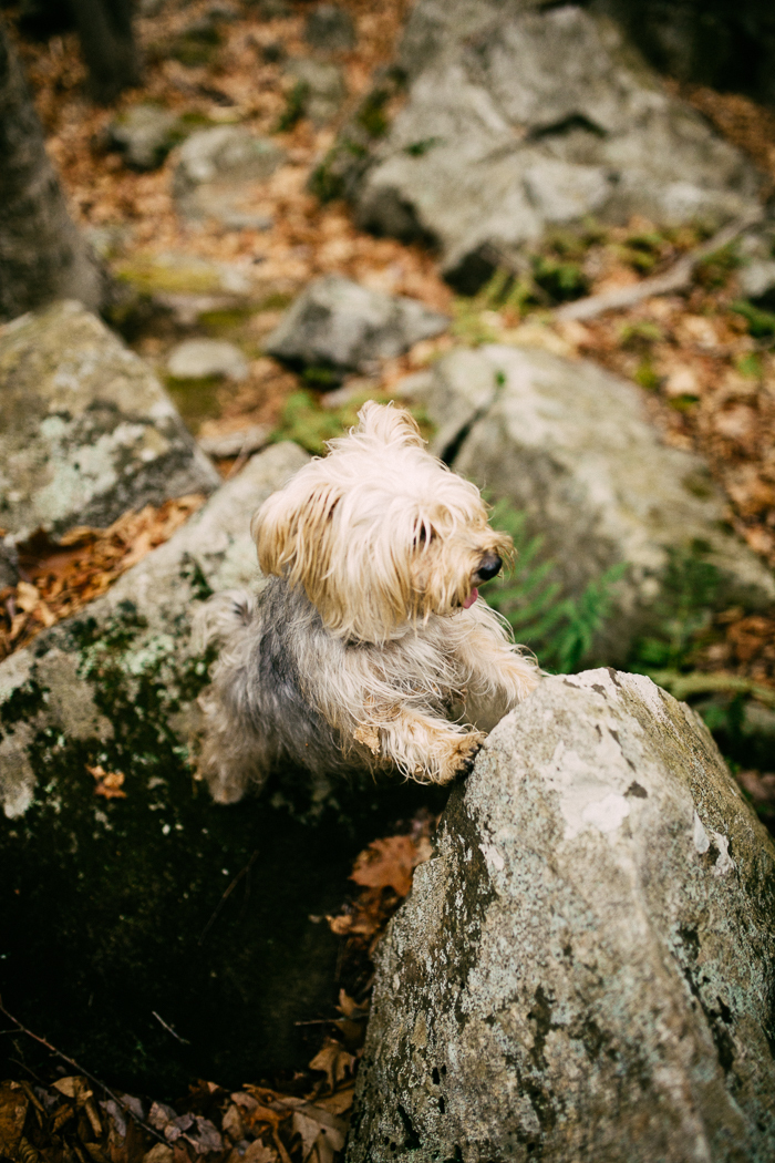 Woodland-elopement-styled-shoot-Ramblefree-Photo-Co-52