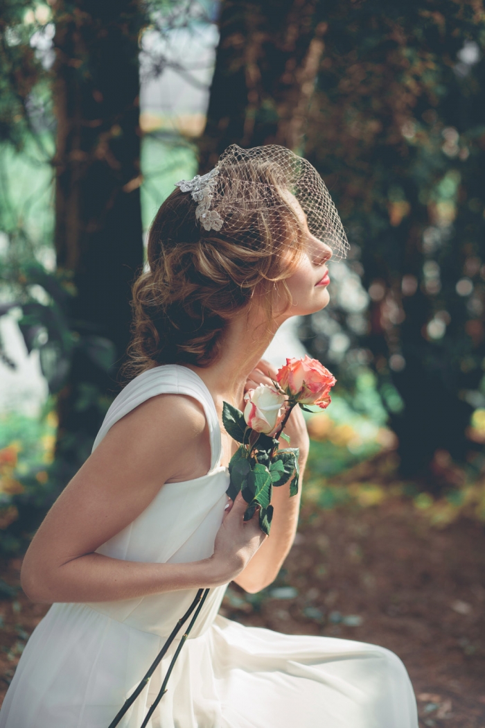 champagne birdcage veil