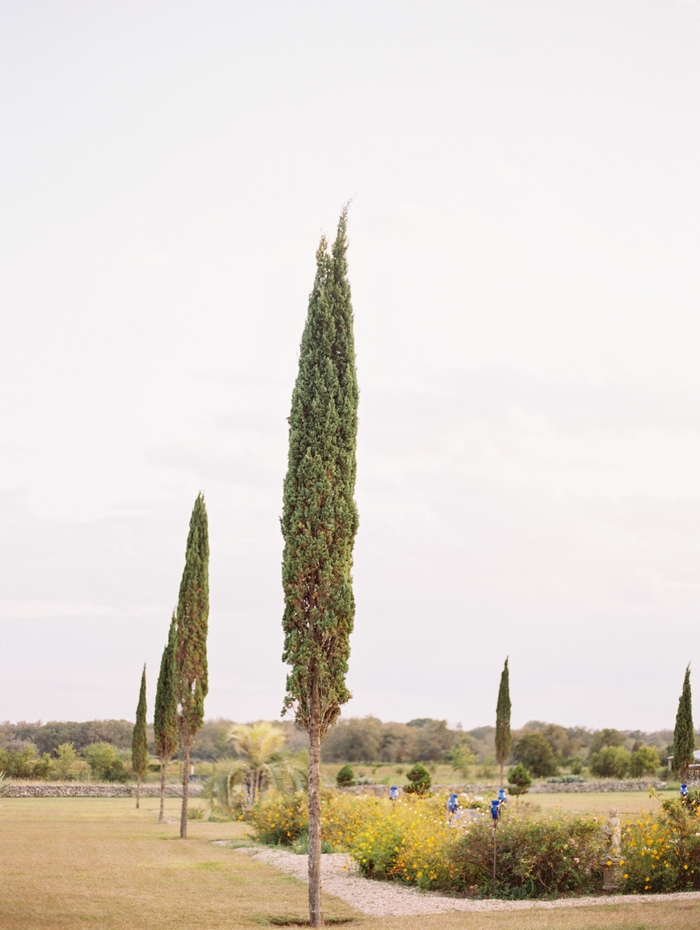 Lindsay & Steve | St. Ignatius Catholic Church & Le San Michele