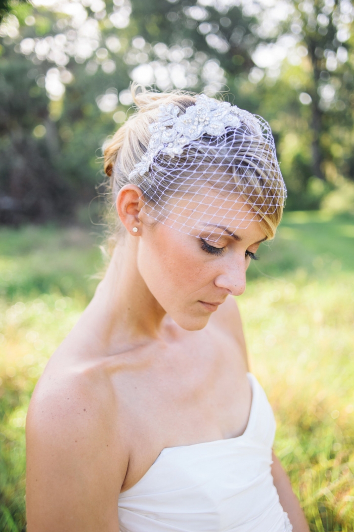 silver crystal birdcage veil