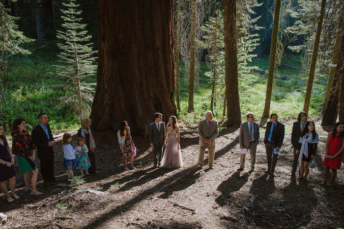 wedding ceremony in Sequoia National Park