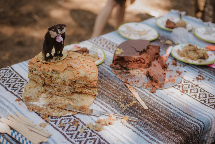 cut wedding cakes on picnic table