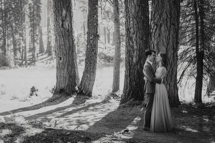 bride and groom portrait in Sequoia National Park