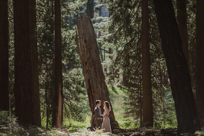 bride and groom portrait in Sequoia National Park