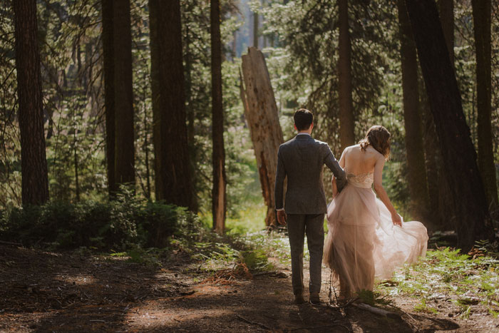 wedding portrait in Sequoia National Park